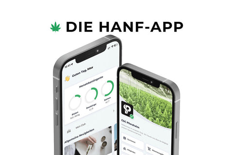 Lions Hemp empfiehlt: Die Hanf-App – Die ideale Lösung für Cannabis-Social-Clubs 🌿📱