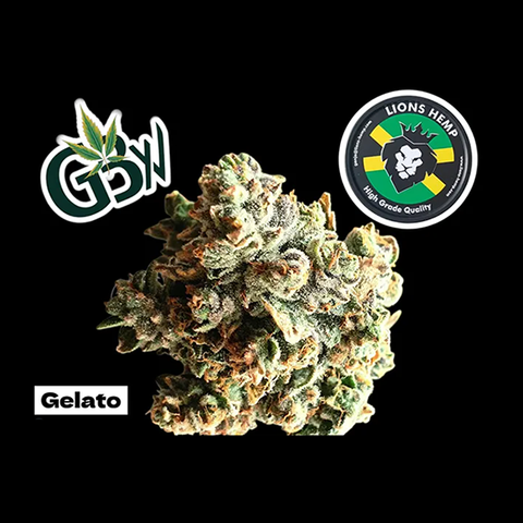 Hanfsamen Gelato autoflowering